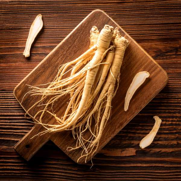 Korean red ginseng root